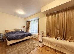 8 @ Mount Sophia (D9), Condominium #593635321